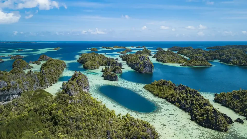 Dafalen Raja Ampat | The Sky Dive Bali